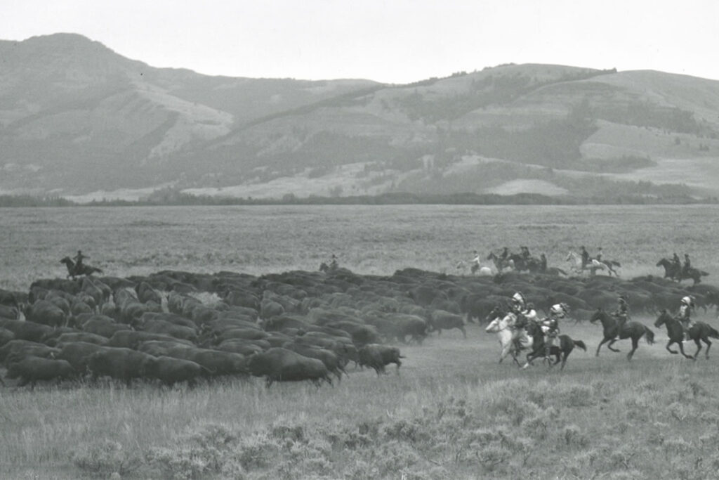Hunting Buffalo on Horseback in Yellowstone