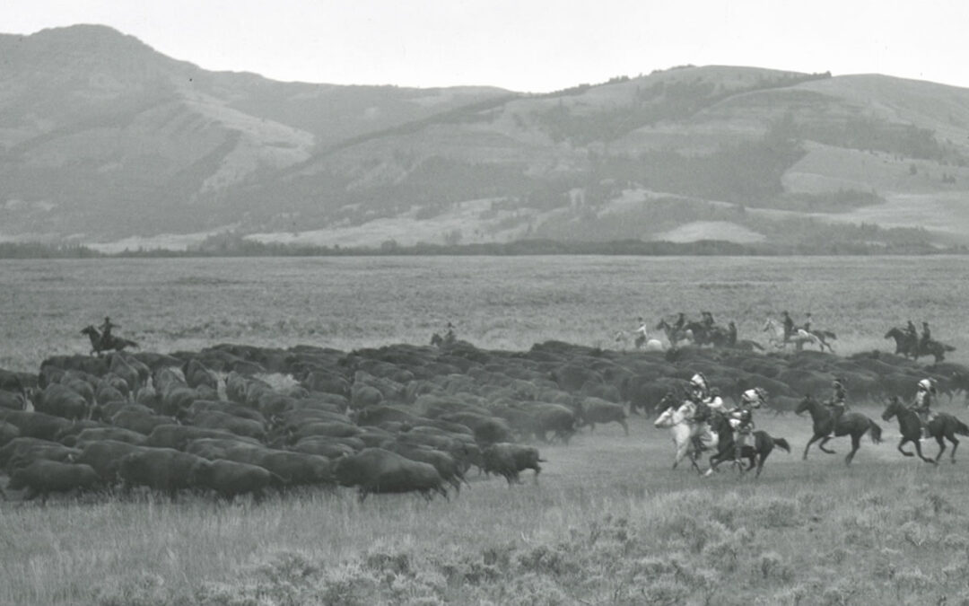 Actors hunt Buffalo on horseback in Yellowstone.
