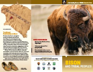 Bison & Tribal Peoples Brochure