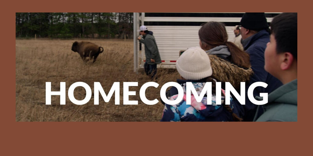 HOMECOMING: A NEW FILM DIRECTED BY JULIANNA BRANNUM EXAMINES RESTORATION OF BUFFALO TO INDIGENOUS LANDS