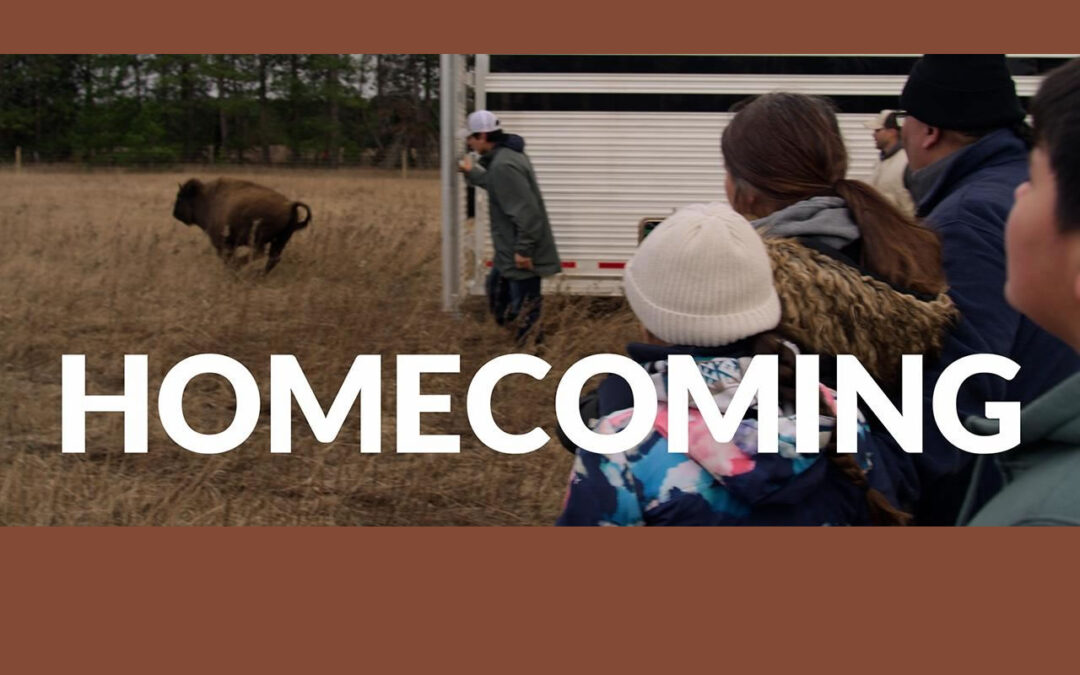 “Homecoming” Documentary Brings Story of “The American Buffalo” to the Present