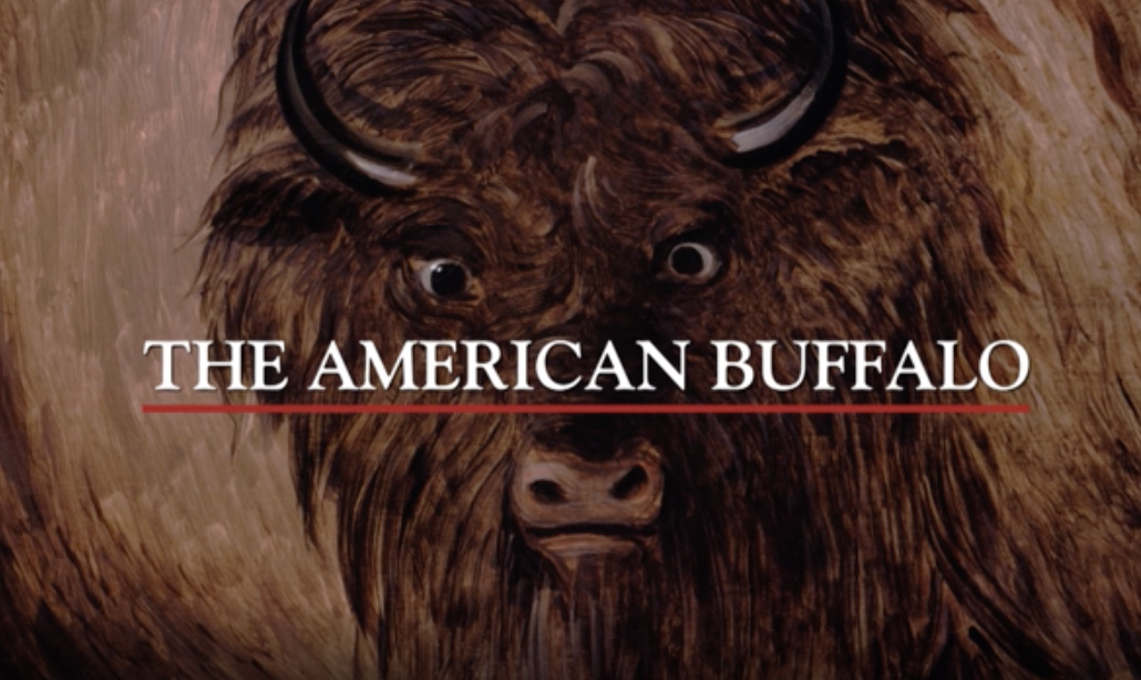 The American Buffalo, a film by Ken Burns