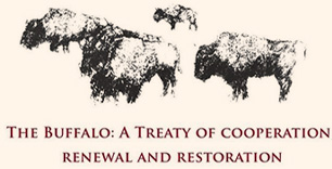 The Buffalo Treaty Council