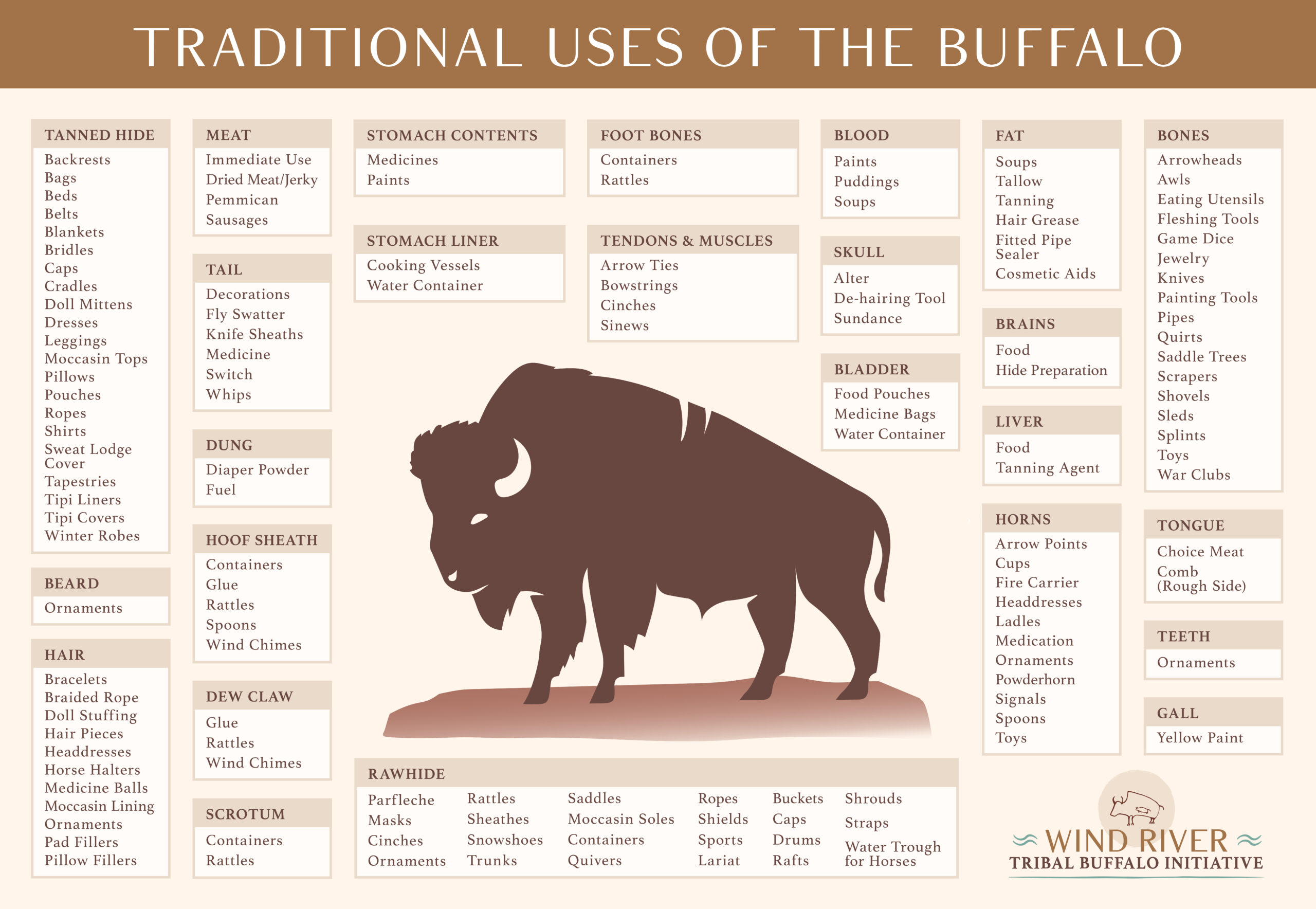Traditional Uses of Buffalo