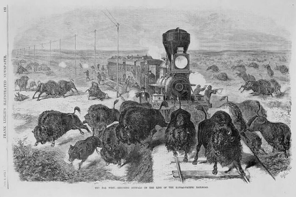 buffalo railroad
